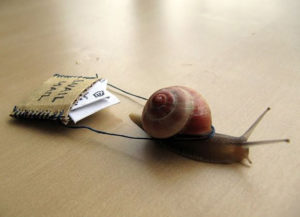 Real-Snail-Mail-Delivery-1