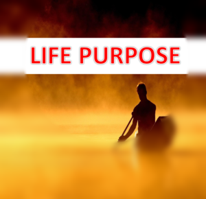 LIFE-PURPOSE2